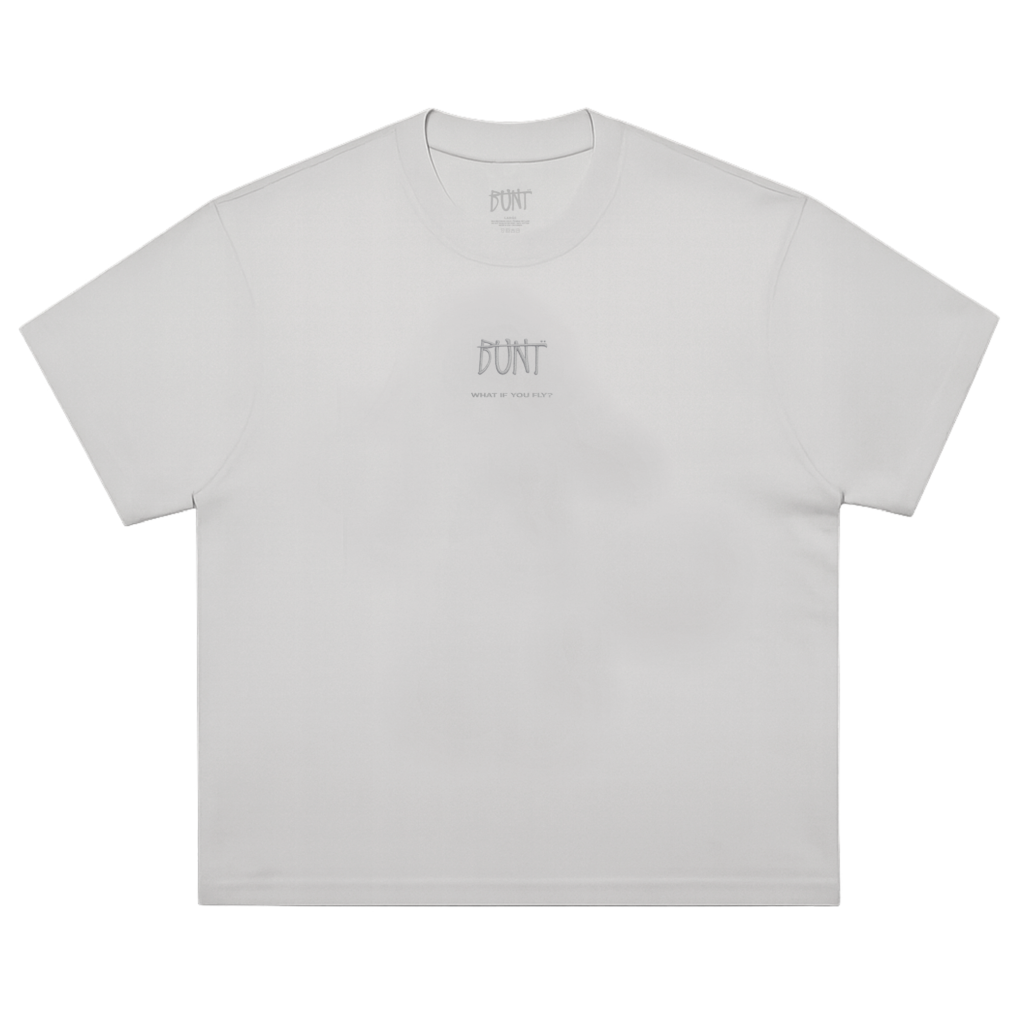 What If You Fly Tee